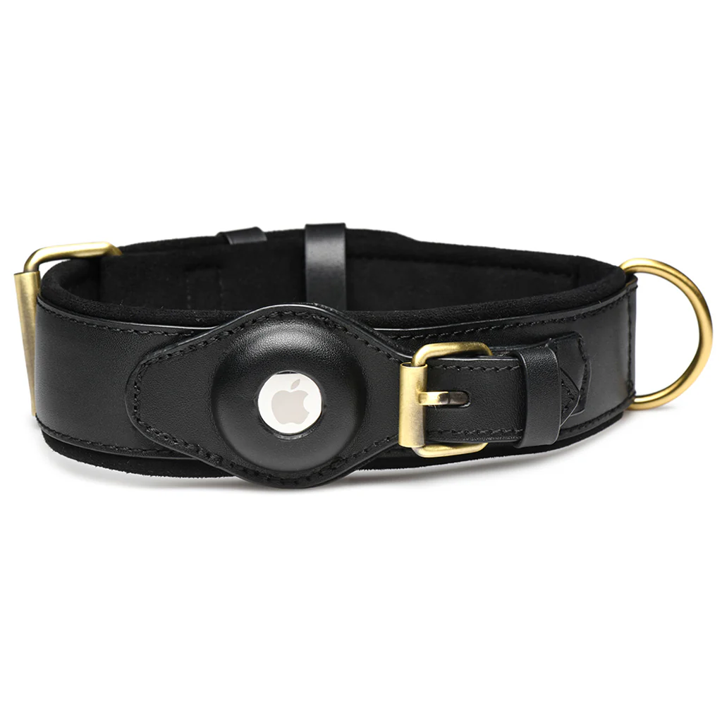 Master Series Tracer Tracking Collar - Image 2